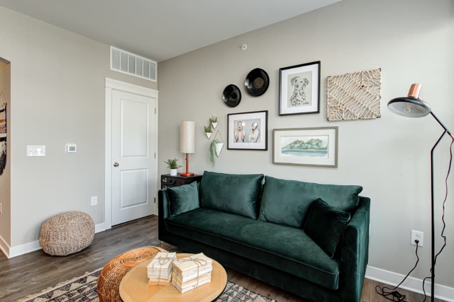 Apartment living room with couch, wall decor, and lamp